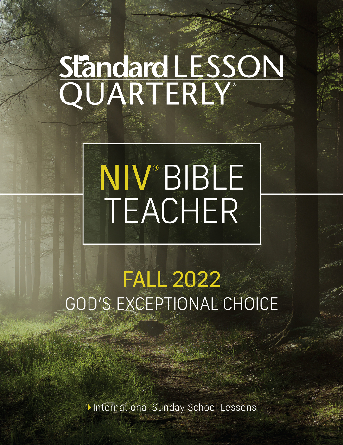 Standard Lesson Bible Teacher image
